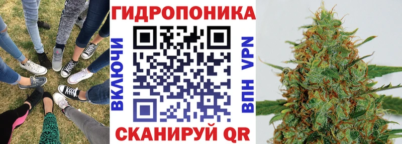где можно купить наркотик  Липки  Шишки марихуана марихуана 